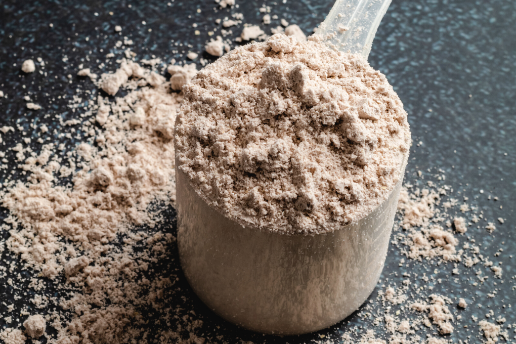 Whey Versus Plant Protein Powders – Which Is Best? 2