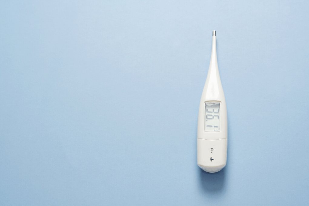 Digital Thermometer