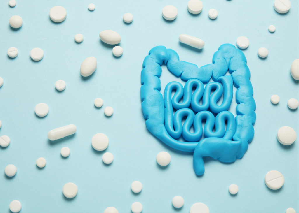 Prebiotics And Probiotics: Everything You Need To Know For A Healthy Gut 1
