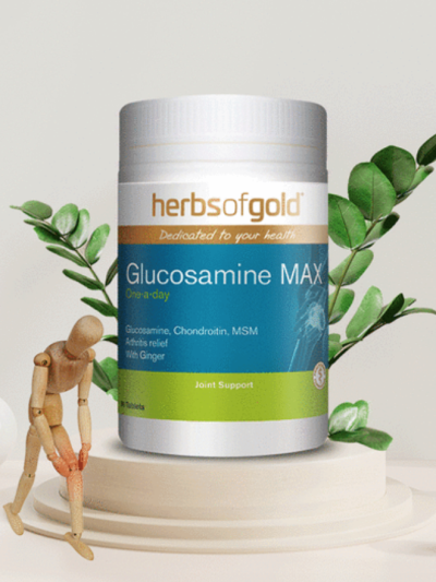 Herbs Of Gold Glucosamine Max 90 Tablets 5 Herbs Of Gold Glucosamine Max 90 Tablets 2