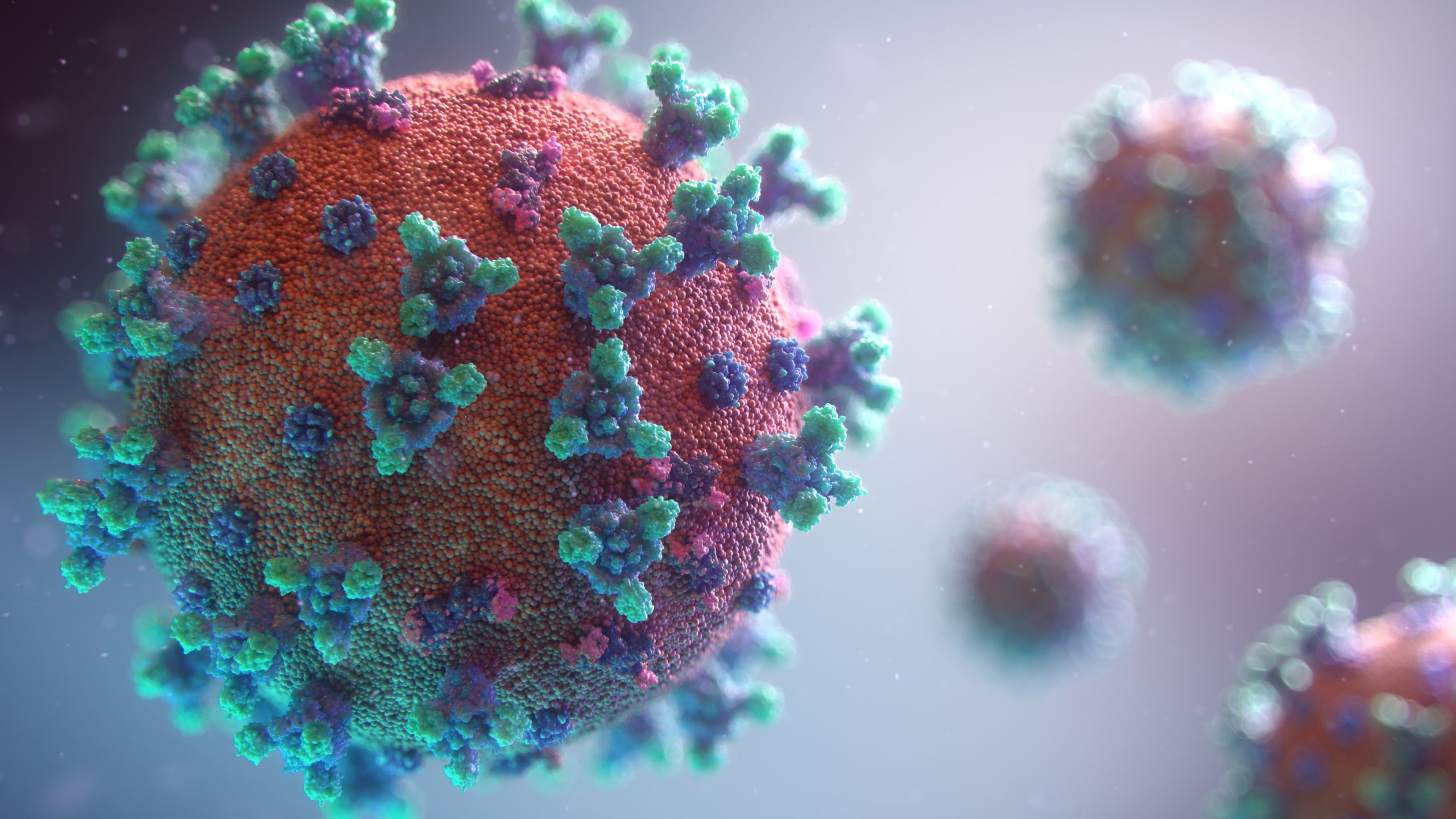 Fremantle Dtpa, Mmr And Hpv Vaccinations 1